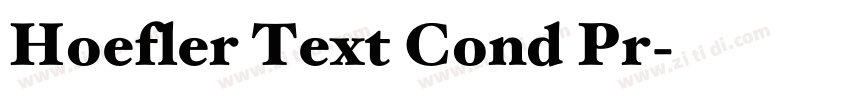 Hoefler Text Cond Pr字体转换